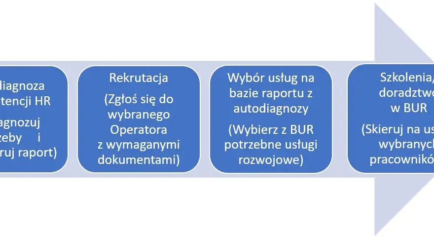 Dofinansowanie z BUR: Kto może skorzystać? Przewodnik dla MŚP