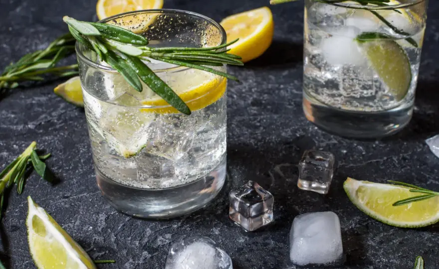 Napój z chininą: historia, właściwości zdrowotne i przepisy na drinki