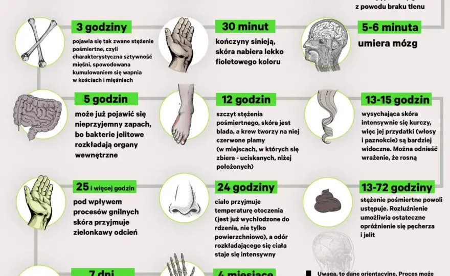 Badanie pośmiertne - Kiedy jest konieczne i co można ustalić?
