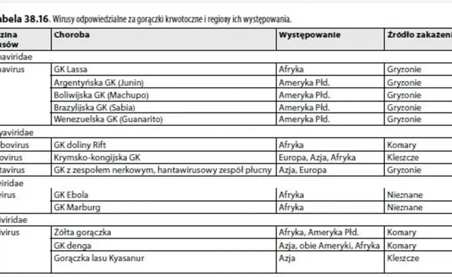 Denga - objawy, leczenie i ryzyko. Kiedy gorączka alarmuje?
