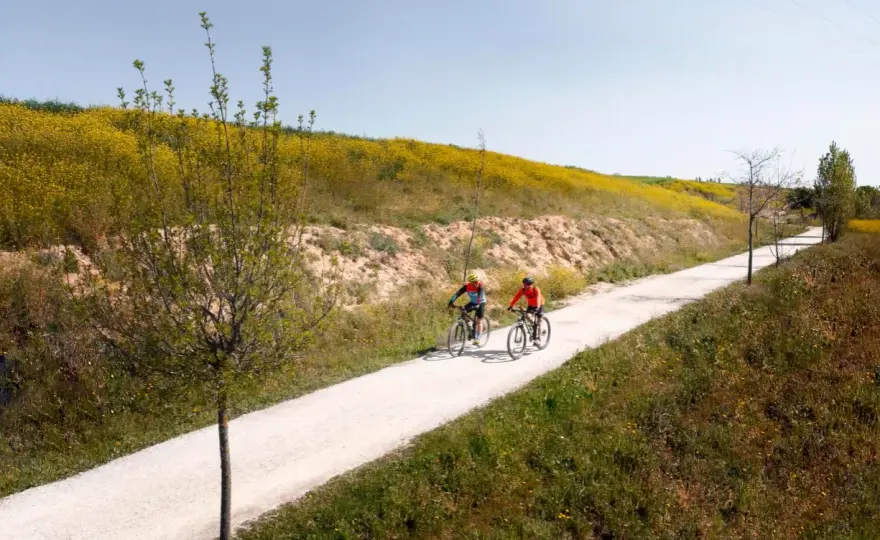 Najpiękniejsze trasy rowerowe w Polsce, które zachwycą każdego cyklistę