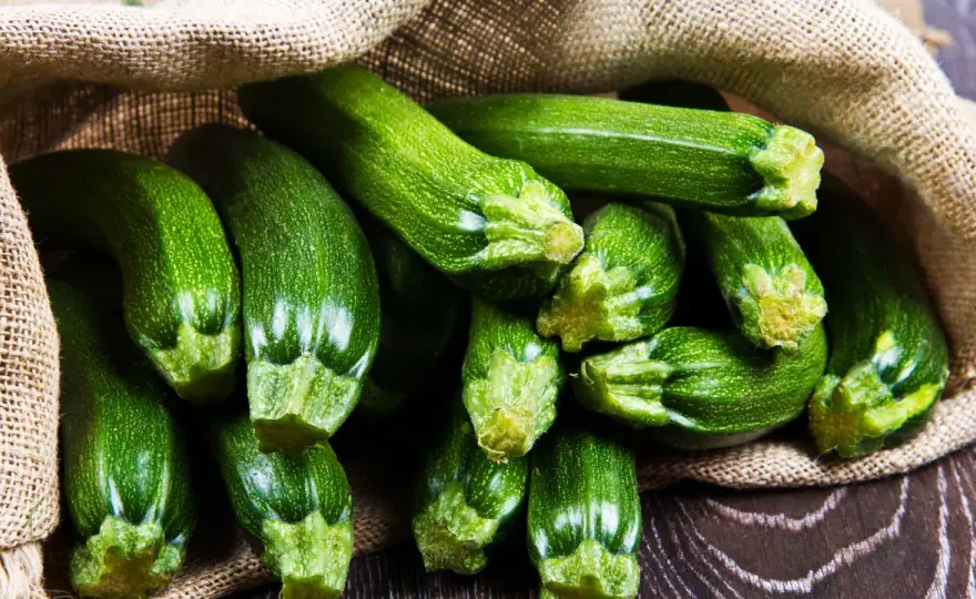 Zucchini gesund? Das zählt bei Zubereitung und Verträglichkeit