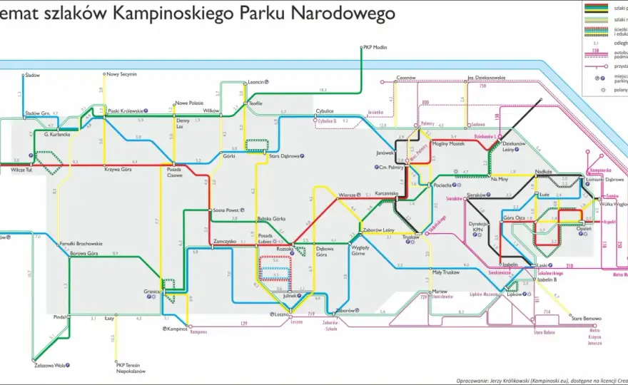 Kampinos z psem - Gdzie wejść legalnie? Poznaj trasy i zasady parku