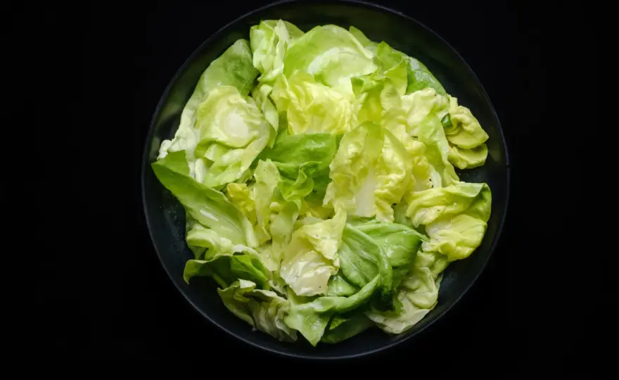 Kopfsalat Rezept - So bleibt der Butterkopf knackig und frisch
