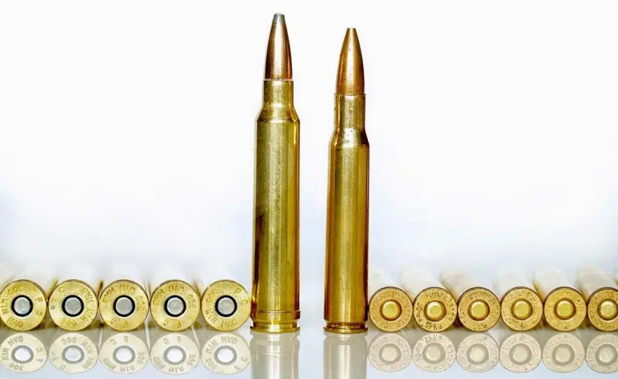 300 Win Mag vs 30-06 - Lequel choisir vraiment ?