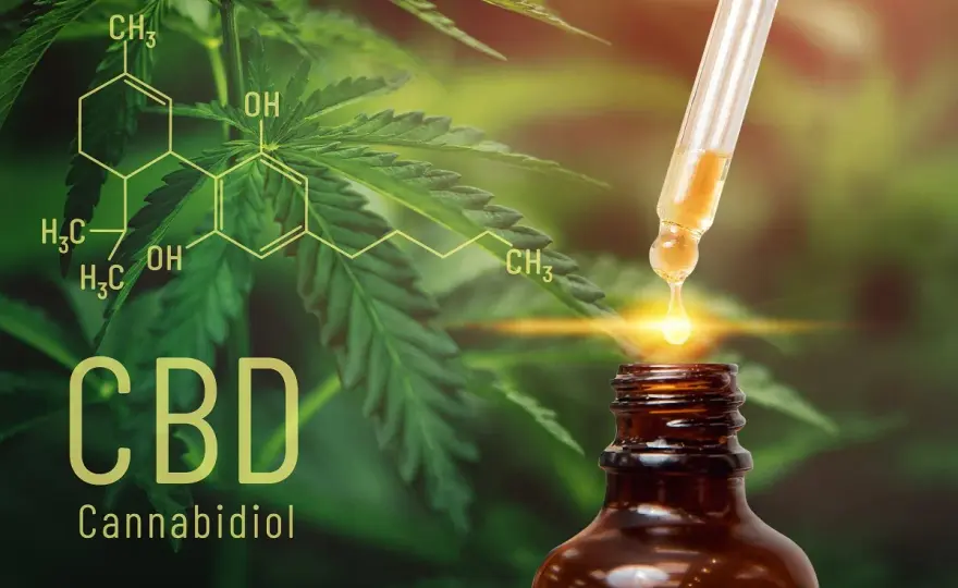 Olejek CBD: Na co działa? Pełny przewodnik po korzyściach