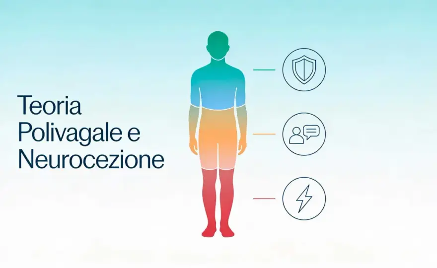 Teoria Polivagale - Capire e gestire le tue reazioni emotive