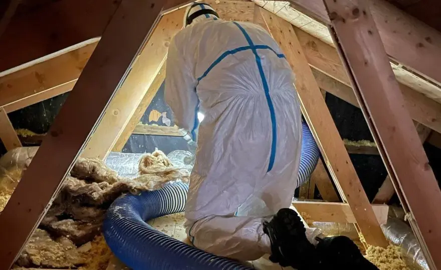 Isolerab omdömen - Är det rätt för ditt hus?