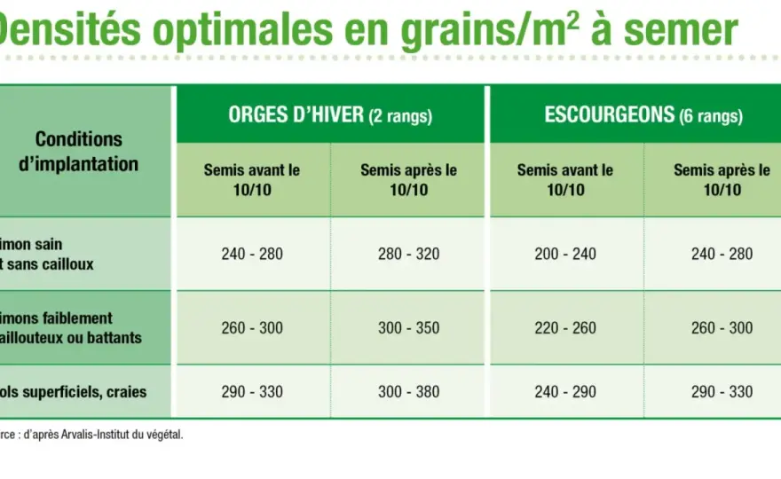 Densité de semis orge d'hiver - Visez la dose juste