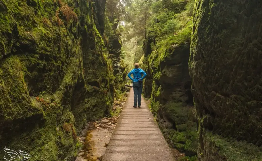 Szwajcaria Saksońska: przewodnik po szlakach, Bastei i atrakcjach