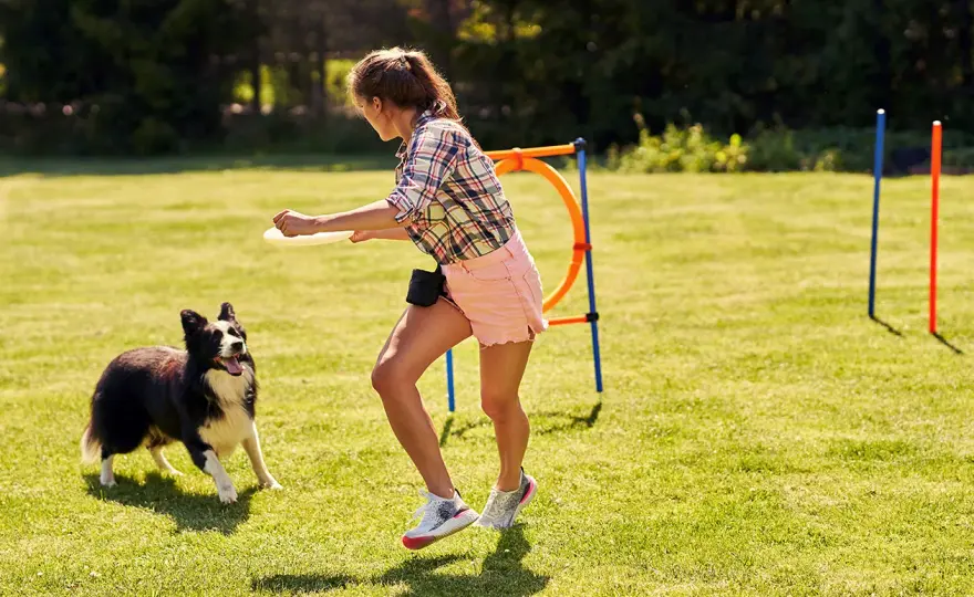 Degility mit Hund - so gelingt der ruhige Einstieg