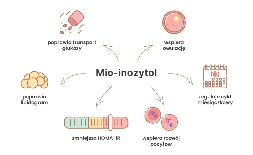 Miovelia PCOS - Czy inozytol naprawdę pomaga? Sprawdź!