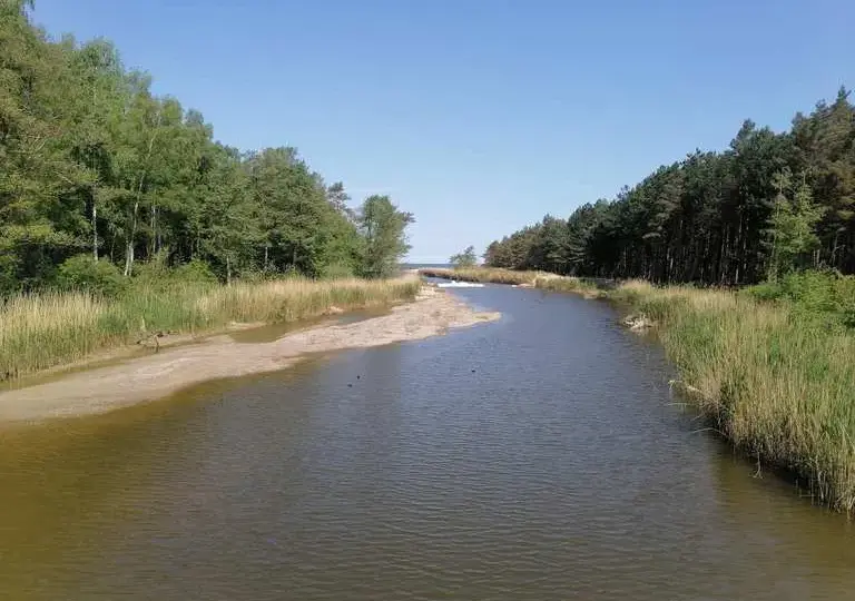 Najlepsze trasy rowerowe w Dąbkach – odkryj malownicze szlaki