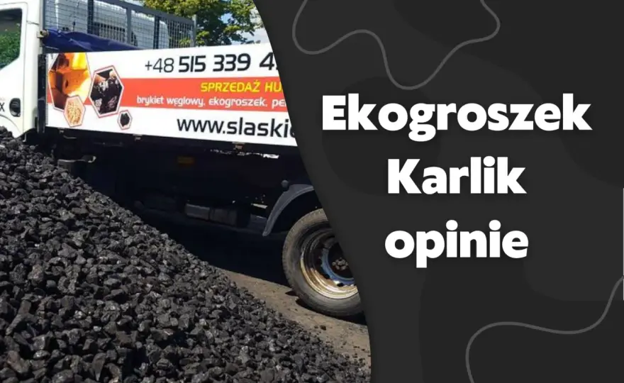 Jaki ekogroszek z PGG wybrać? - Karlik, Pieklorz czy Karolinka?