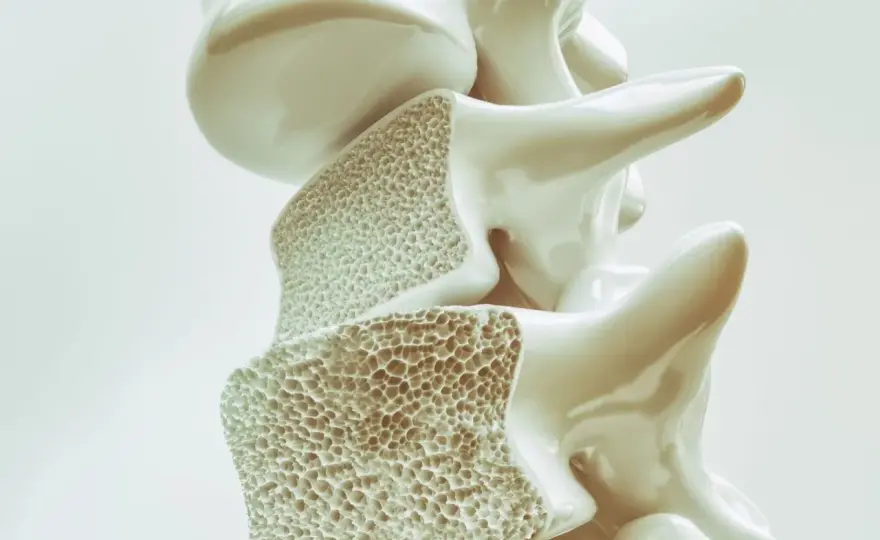 Osteopenia: Co dalej z kośćmi? Dieta, ruch i fakty