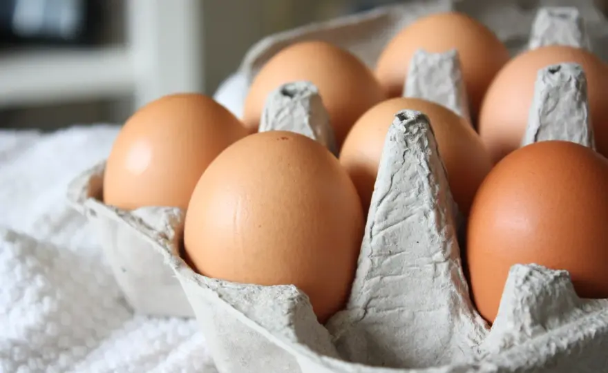 Ile kcal ma gotowane jajko? Kalorie, wartości odżywcze i dieta