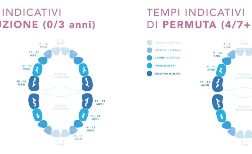 Dentizione dei bambini - tempi, sintomi e rimedi sicuri