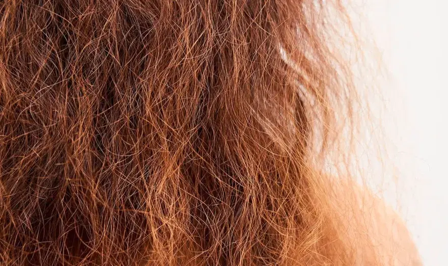 Pelo deshidratado - Recupera brillo y suavidad con esta guía