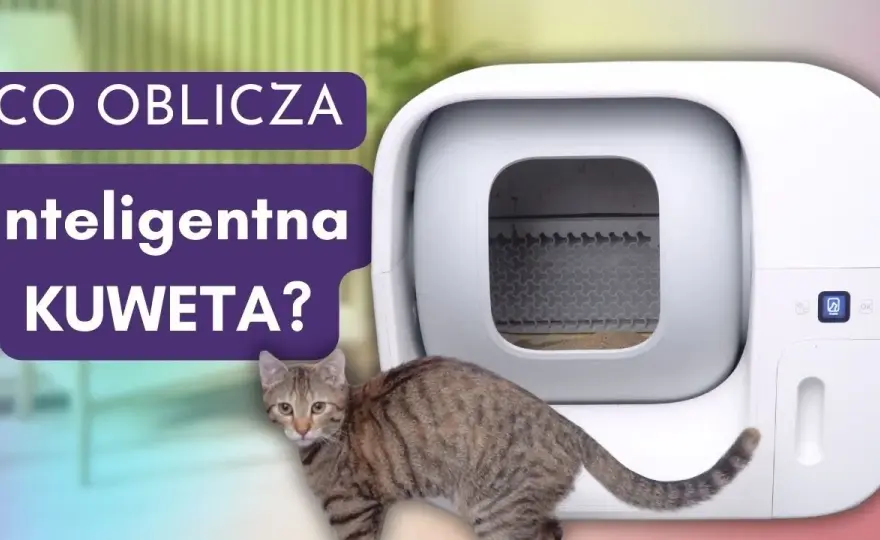 Jak działa kuweta samoczyszcząca? Odkryj jej sekrety i zalety