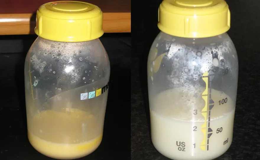 Kolostrum verstehen - Erstmilch, Wirkung und Supplement im Check