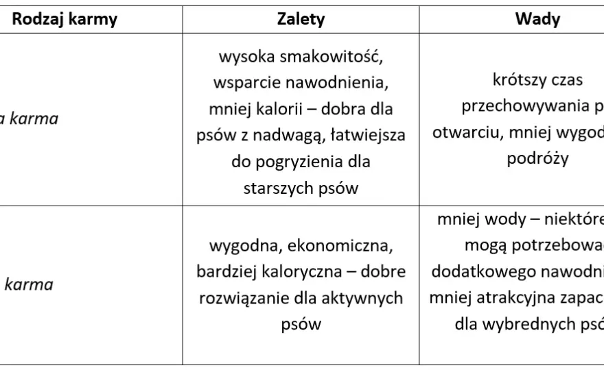 Jak dawkować mokrą karmę psu? Tabela i praktyczne wskazówki