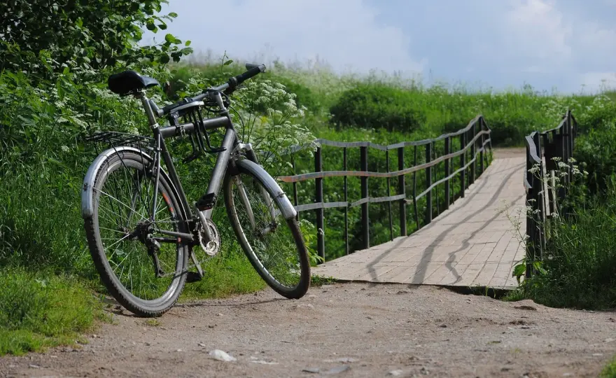 Najlepsze trasy rowerowe w Polsce, które zachwycą każdego cyklistę