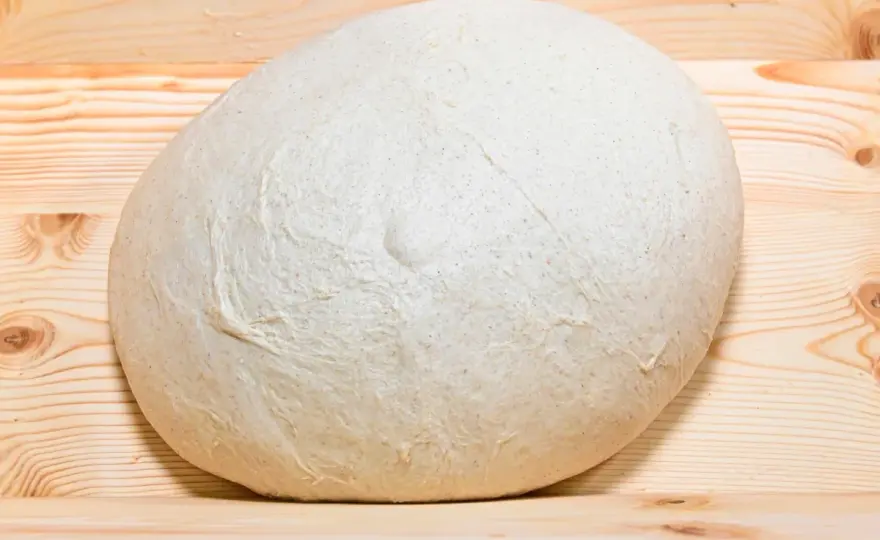 Pizza fatta in casa - La guida definitiva per un impasto perfetto