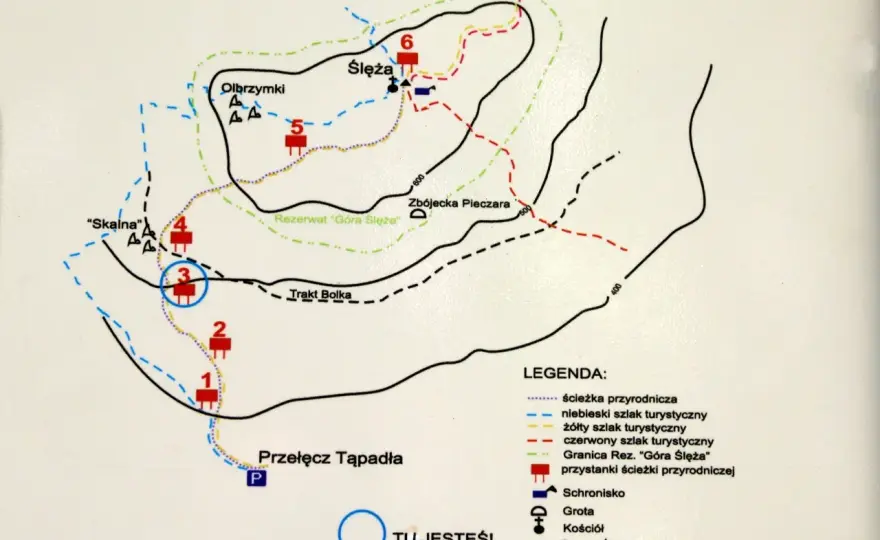 Ślęża - szlaki, mapa, co zobaczyć? Kompletny przewodnik