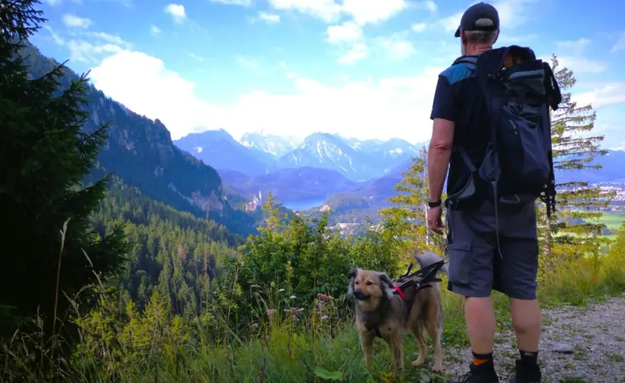 Tegelberg Rundweg - Dein Guide für die perfekte Wanderung
