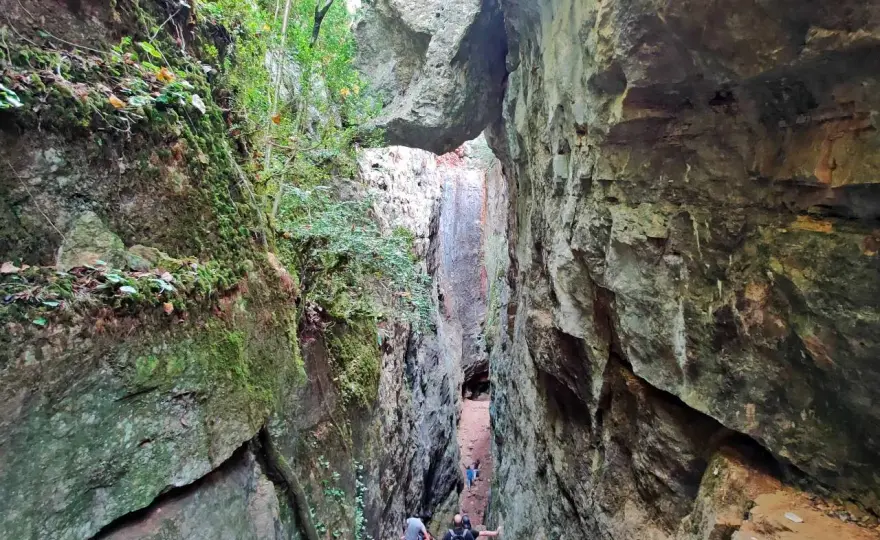 Avencs de la Febró - Guía completa para una visita inolvidable