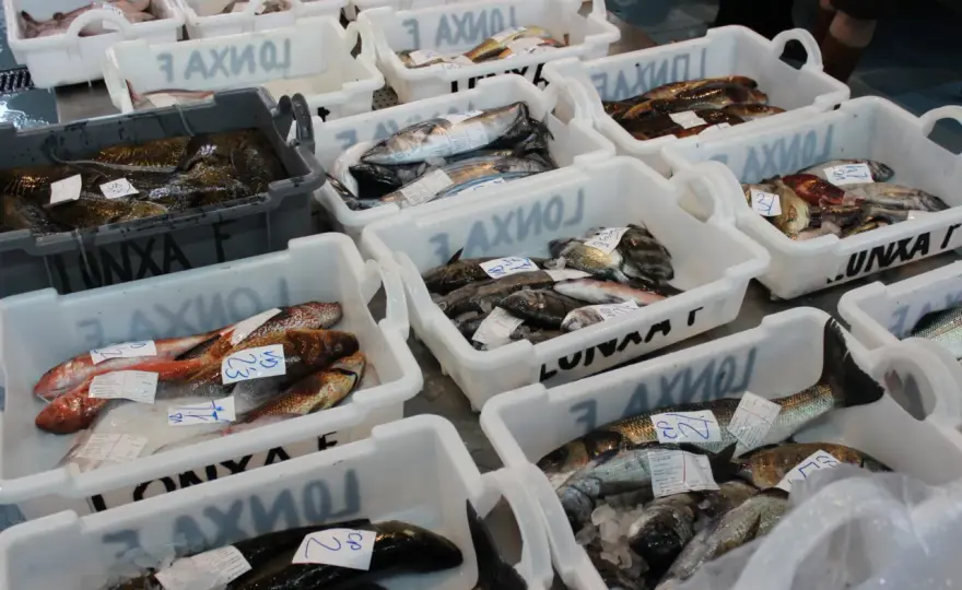 Pesca gallega en lonja - cómo leer mejor el producto