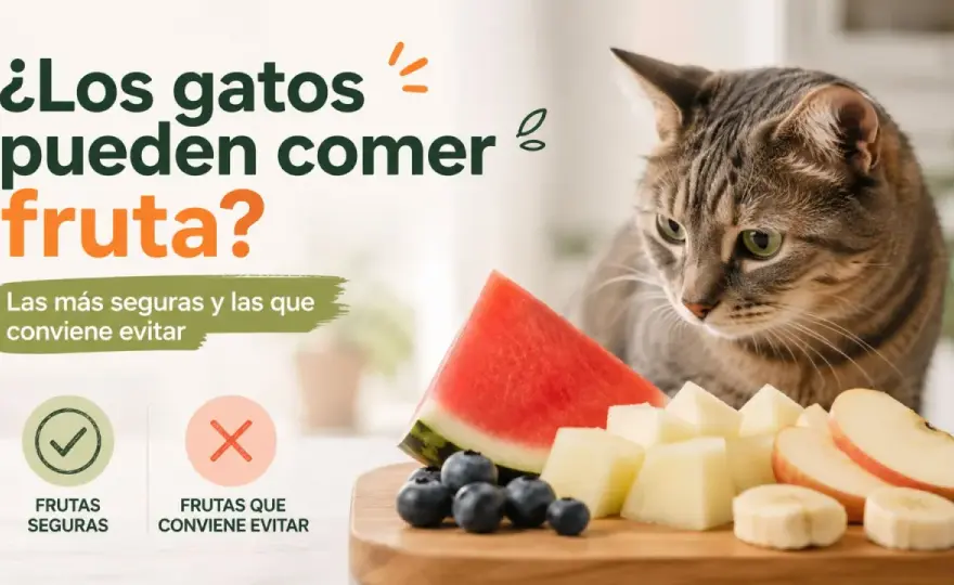 ¿Gatos y pera? Lo que debes saber antes de darle fruta