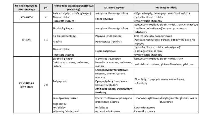Czas trawienia pokarmów: Tabela, czynniki i jak poprawić trawienie