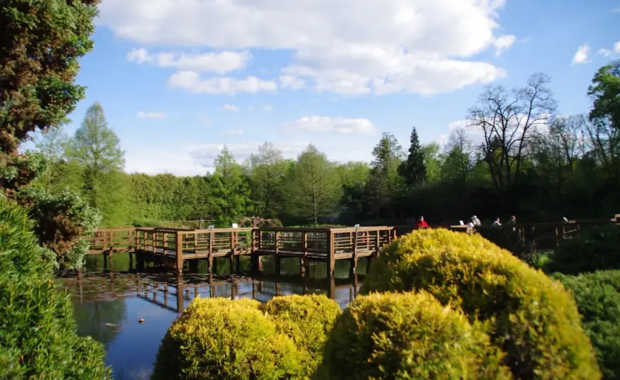 Arboretum Bolestraszyce - Ceny, godziny i co warto zobaczyć?