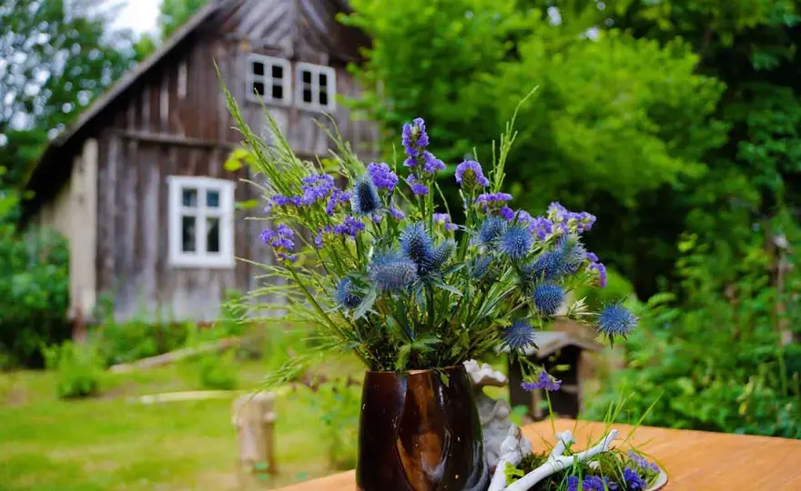 Spreewald richtig erleben - Dein Guide für den ersten Besuch
