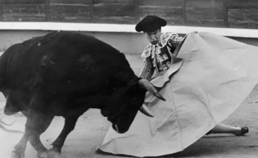 El toro que mató a Yiyo - ¿Burlero o Avispado?