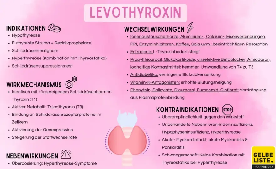 Thyronajod - Einnahme, Wirkung und wichtige Wechselwirkungen