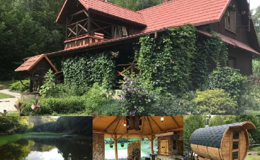 Gdzie na grzyby z noclegiem? Odkryj idealne miejsca na wypoczynek