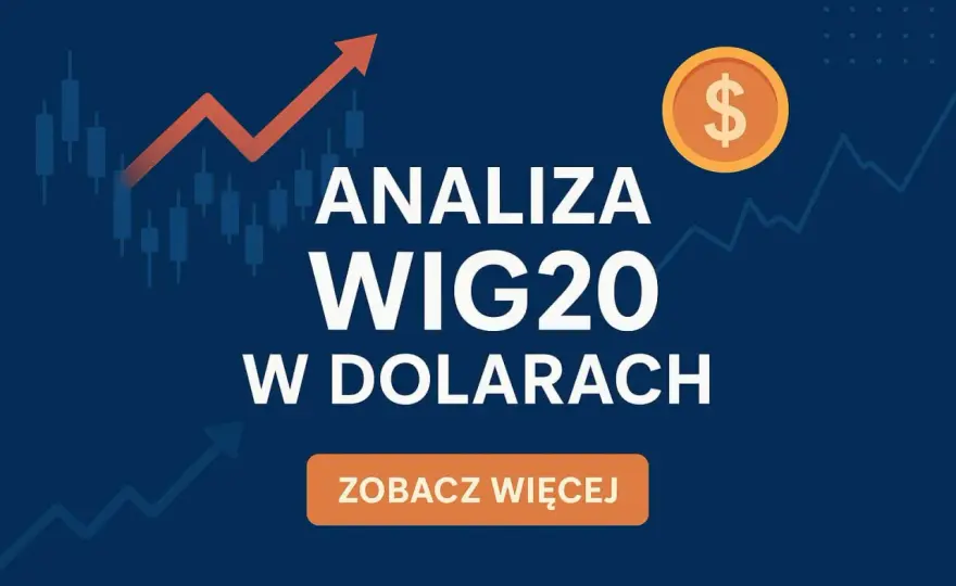WIG20 w dolarach - co naprawdę pokazuje?