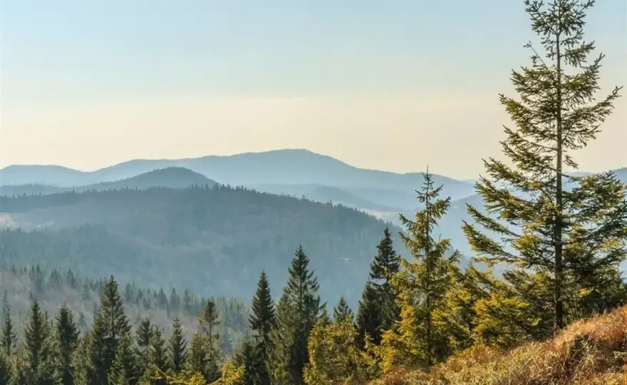Żywiec - Szlaki górskie dla każdego. Wybierz idealną trasę!