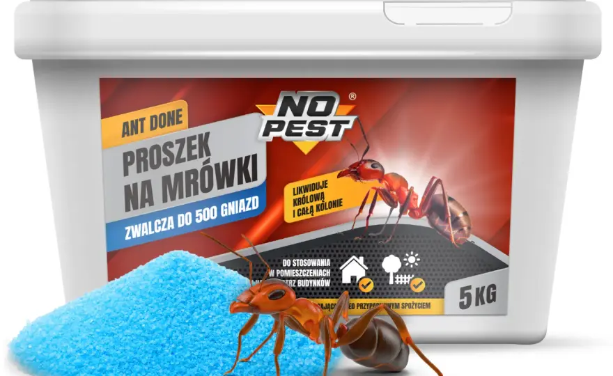 Domowa przynęta na mrówki - Jak skutecznie zlikwidować całe gniazdo?