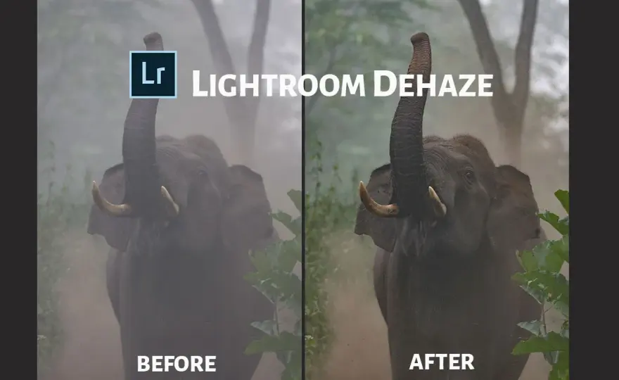 Dehaze Lightroom - Jak używać, by zdjęcia zachwycały?