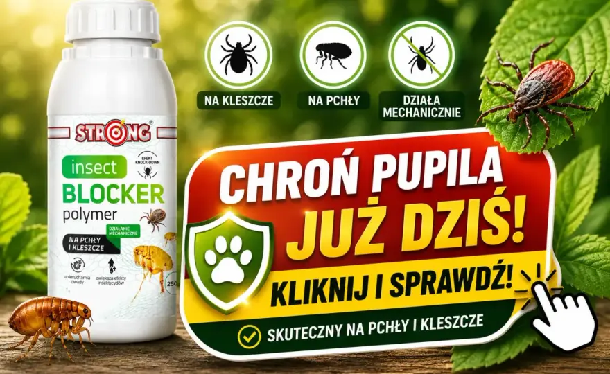 Zastrzyk na kleszcze dla psa - Cena? Nie tylko!