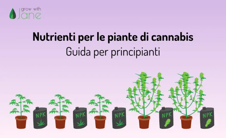 NPK nei concimi, come leggere i numeri e scegliere la formula