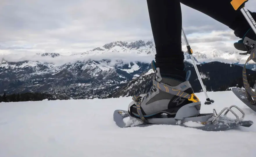 Raquetas de nieve - ¿Cuál elegir? Guía para montaña invernal