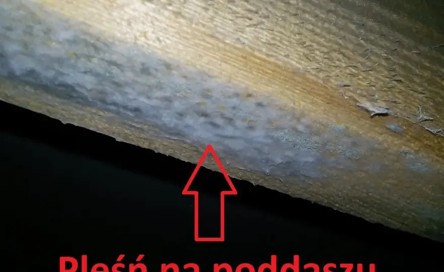 Ile czasu ma deweloper na usunięcie usterki? Poznaj swoje prawa