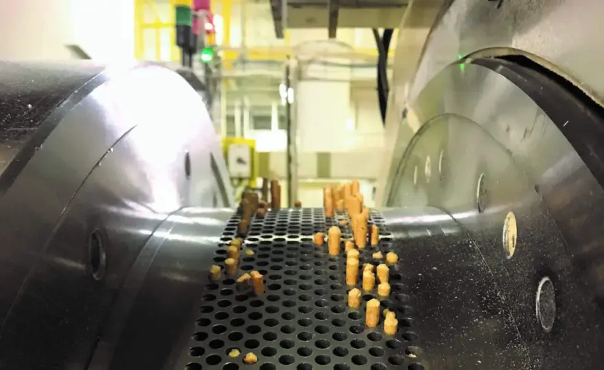 Jak zrobić pellet krok po kroku - Czy własna produkcja się opłaca?