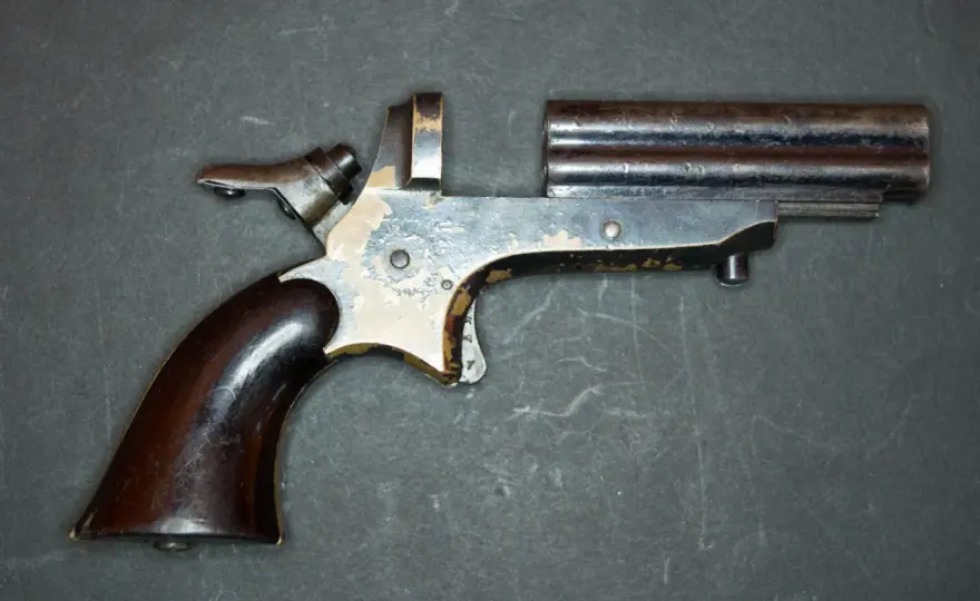 Derringer .22 LR: Mythes et Réalités - Guide Complet
