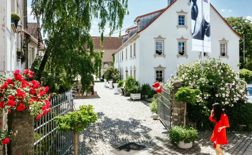 Winzerhof Stahl: Mehr als Wein – Franken neu erleben