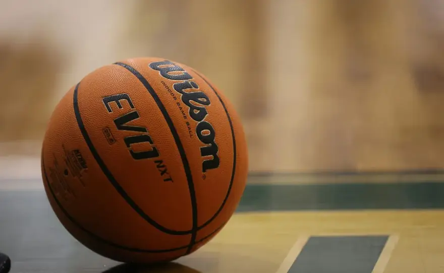 Wilson Evo NXT - czy warto kupić tę piłkę halową?